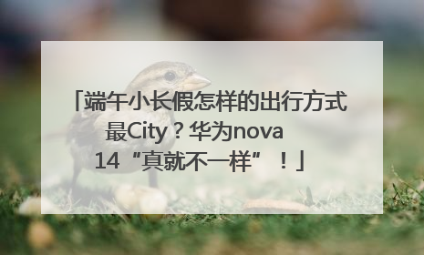 端午小长假怎样的出行方式最City？华为nova 14“真就不一样”！