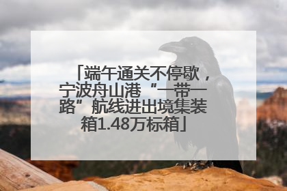 端午通关不停歇，宁波舟山港“一带一路”航线进出境集装箱1.48万标箱