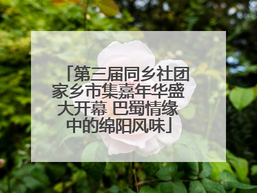 第三届同乡社团家乡市集嘉年华盛大开幕 巴蜀情缘中的绵阳风味