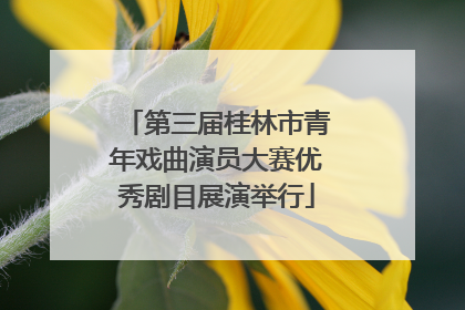 第三届桂林市青年戏曲演员大赛优秀剧目展演举行