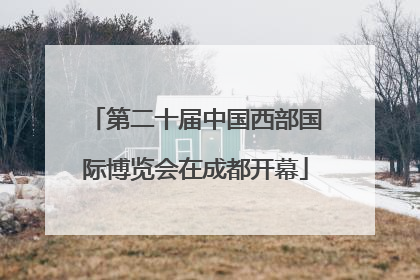 第二十届中国西部国际博览会在成都开幕