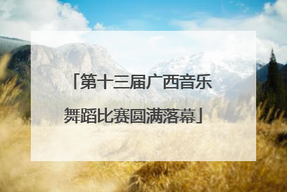 第十三届广西音乐舞蹈比赛圆满落幕