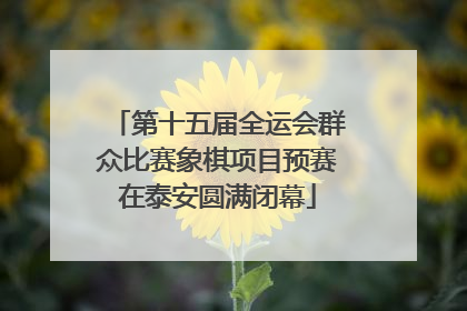 第十五届全运会群众比赛象棋项目预赛在泰安圆满闭幕