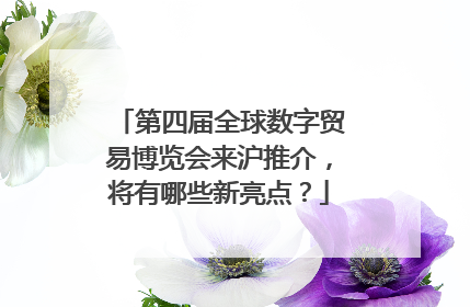 第四届全球数字贸易博览会来沪推介，将有哪些新亮点？