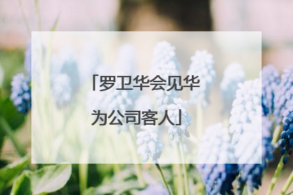罗卫华会见华为公司客人