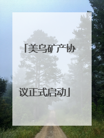 美乌矿产协议正式启动