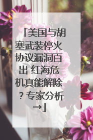 美国与胡塞武装停火协议漏洞百出 红海危机真能解除？专家分析→