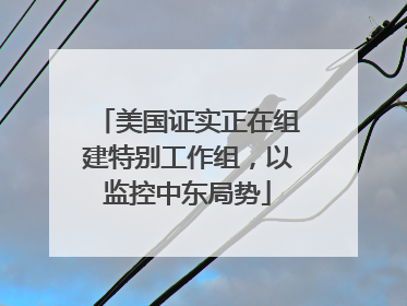 美国证实正在组建特别工作组，以监控中东局势