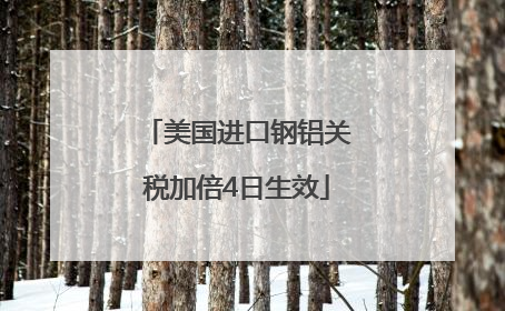美国进口钢铝关税加倍4日生效