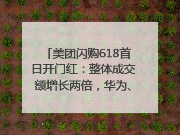 美团闪购618首日开门红：整体成交额增长两倍，华为、Apple、沃尔玛等近800个品牌翻倍增长