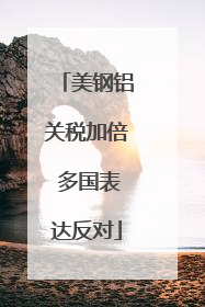 美钢铝关税加倍 多国表达反对