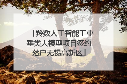 羚数人工智能工业垂类大模型项目签约落户无锡高新区