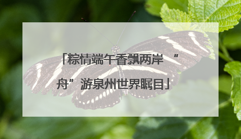 粽情端午香飘两岸 “舟”游泉州世界瞩目
