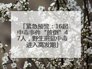 紧急预警：16起中毒事件“放倒”47人，野生蘑菇中毒进入高发期