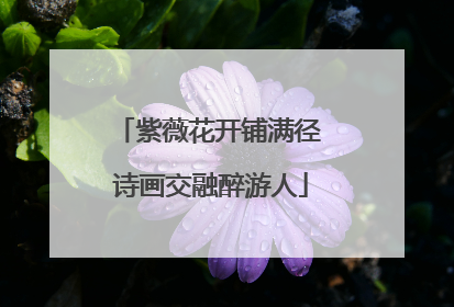 紫薇花开铺满径 诗画交融醉游人