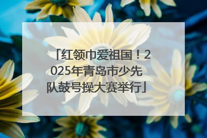 红领巾爱祖国！2025年青岛市少先队鼓号操大赛举行