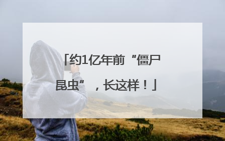 约1亿年前“僵尸昆虫”，长这样！