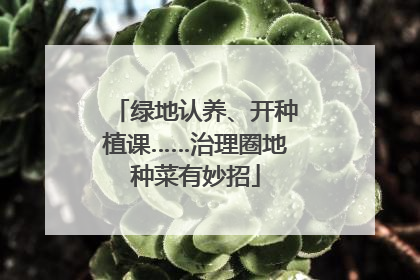 绿地认养、开种植课……治理圈地种菜有妙招