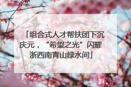 组合式人才帮扶团下沉庆元，“希望之光”闪耀浙西南青山绿水间
