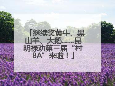 继续奖黄牛、黑山羊、大鹅……昆明禄劝第三届“村BA”来啦！