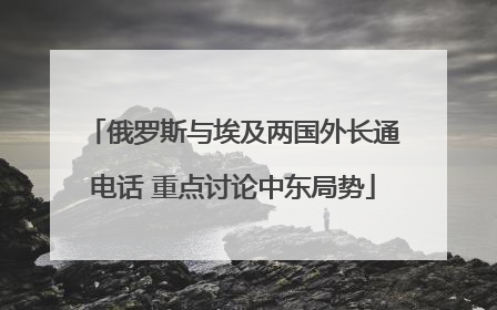 俄罗斯与埃及两国外长通电话 重点讨论中东局势