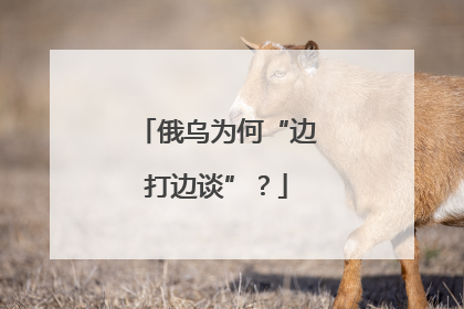 俄乌为何“边打边谈”？