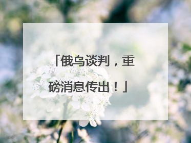 俄乌谈判，重磅消息传出！