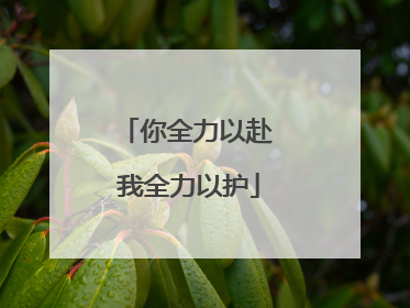 你全力以赴 我全力以护