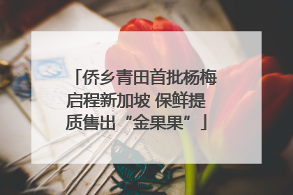 侨乡青田首批杨梅启程新加坡 保鲜提质售出“金果果”