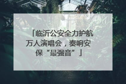 临沂公安全力护航万人演唱会，奏响安保“最强音”