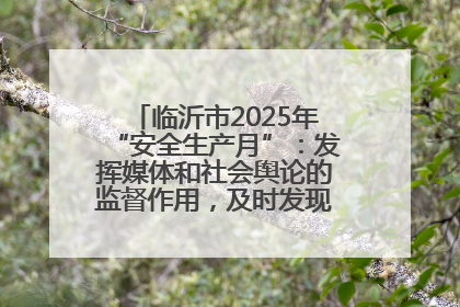 临沂市2025年“安全生产月”：发挥媒体和社会舆论的监督作用，及时发现并消除安全隐患