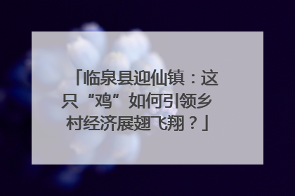 临泉县迎仙镇：这只“鸡”如何引领乡村经济展翅飞翔？