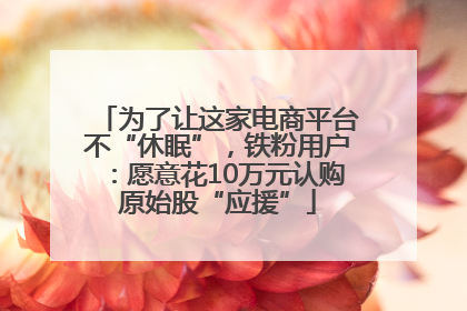 为了让这家电商平台不“休眠”，铁粉用户：愿意花10万元认购原始股“应援”