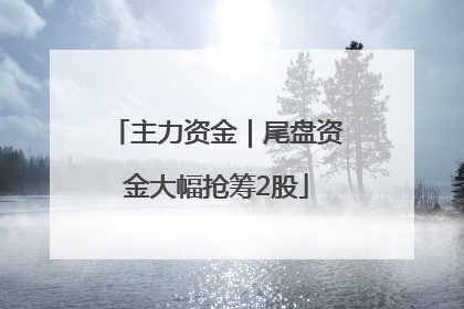 主力资金｜尾盘资金大幅抢筹2股