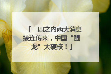 一周之内两大消息接连传来，中国“鲲龙”太硬核！