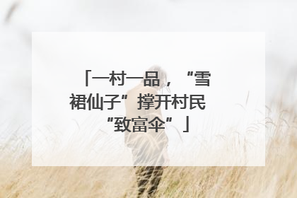 一村一品，“雪裙仙子”撑开村民“致富伞”