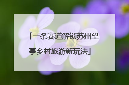 一条赛道解锁苏州望亭乡村旅游新玩法
