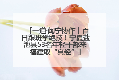 一道·闽宁协作丨百日跟班学绝技！宁夏盐池县53名年轻干部来福建取“真经”