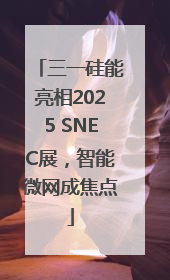 三一硅能亮相2025 SNEC展，智能微网成焦点