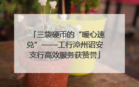 三袋硬币的“暖心速兑”——工行漳州诏安支行高效服务获赞誉