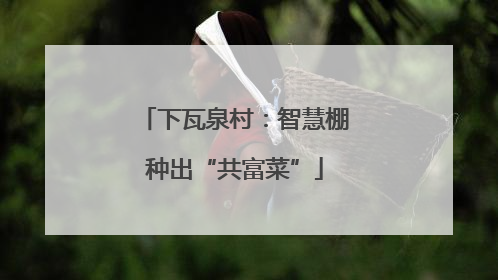 下瓦泉村：智慧棚种出“共富菜”