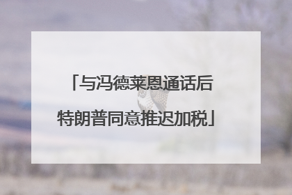 与冯德莱恩通话后 特朗普同意推迟加税
