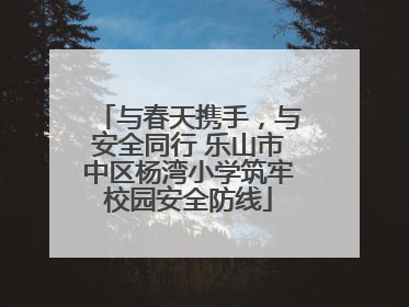 与春天携手，与安全同行 乐山市中区杨湾小学筑牢校园安全防线