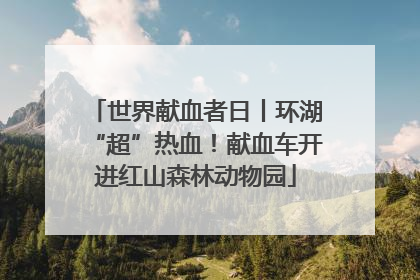 世界献血者日丨环湖“超”热血！献血车开进红山森林动物园