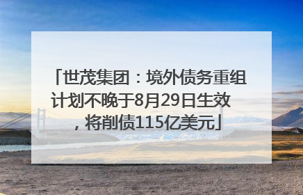 世茂集团：境外债务重组计划不晚于8月29日生效，将削债115亿美元