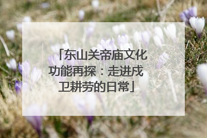 东山关帝庙文化功能再探：走进戍卫耕劳的日常
