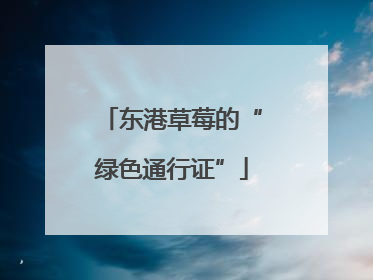 东港草莓的“绿色通行证”