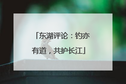 东湖评论：钓亦有道，共护长江