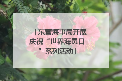 东营海事局开展庆祝“世界海员日”系列活动