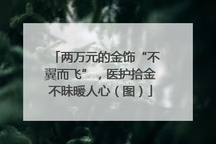 两万元的金饰“不翼而飞”，医护拾金不昧暖人心（图）
